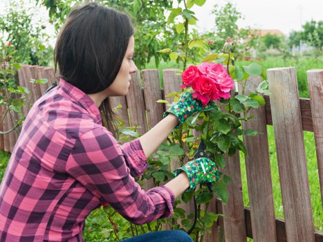 Gardener performing maintenance on a suburban lawn