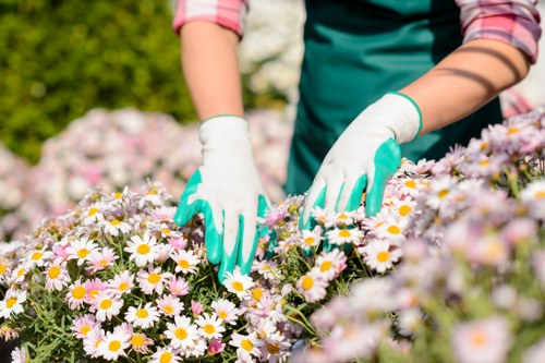Community gardeners sorting garden waste at a recycling hub