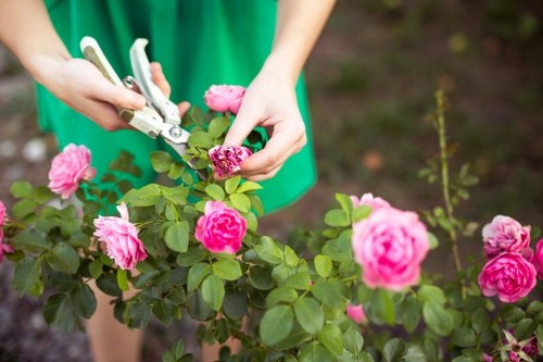 Charity volunteers collecting surplus plants and tools for reuse