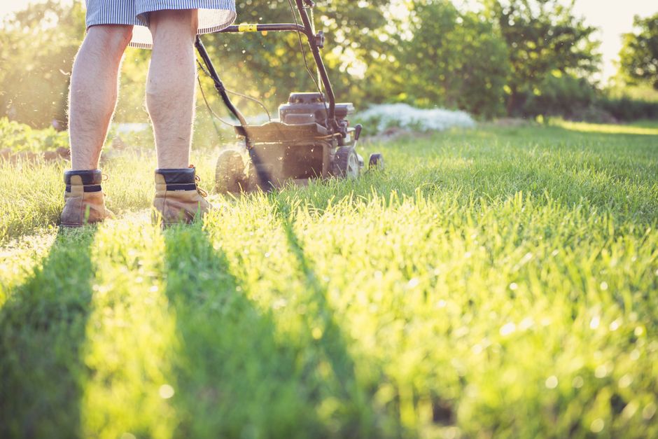 Close-up view of a lush, green lawn with freshly cut grass blades displaying a mix of light and dark green shades. The soil underneath appears slightly moist, indicating recent watering or dew. In the