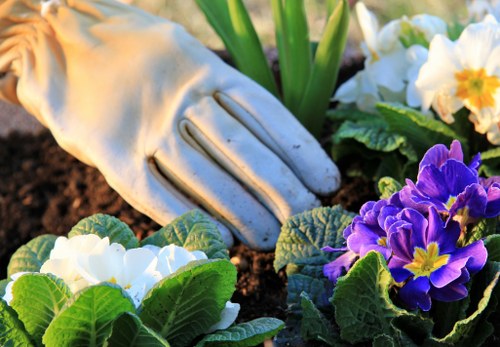 Lush Shortlands garden maintenance by experts
